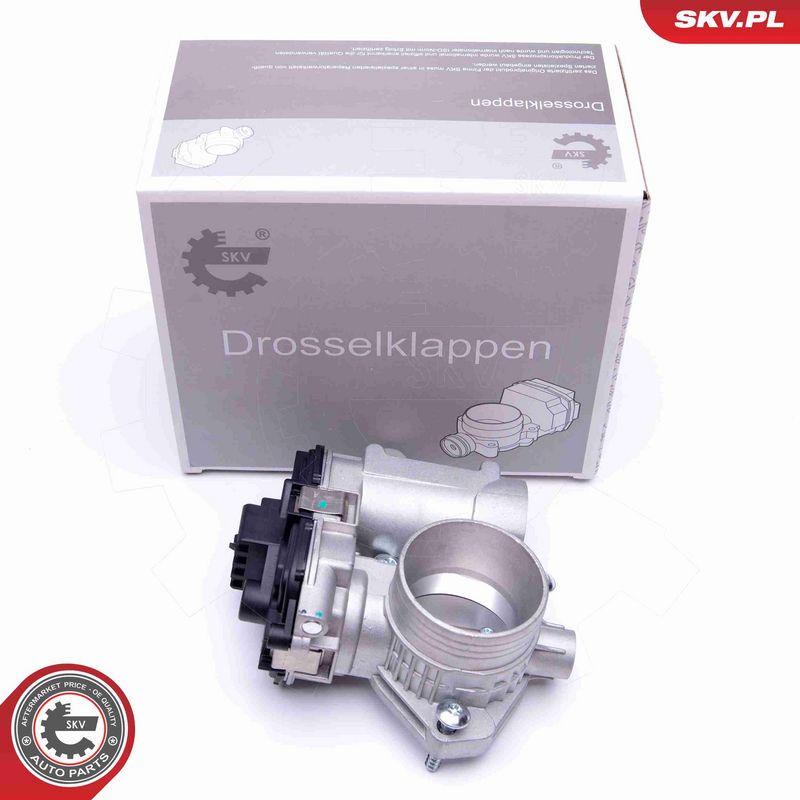 ESEN SKV 12SKV073 Throttle Body