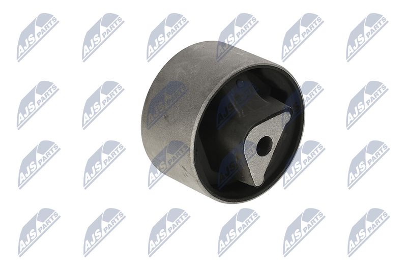 Paigutus, Mootor, NTY ZPS-CH-040