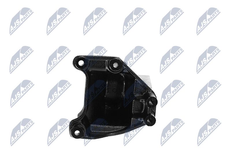 Paigutus, Mootor, NTY ZPS-CH-173