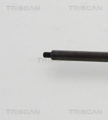 TRIS87101022352500_3.JPG