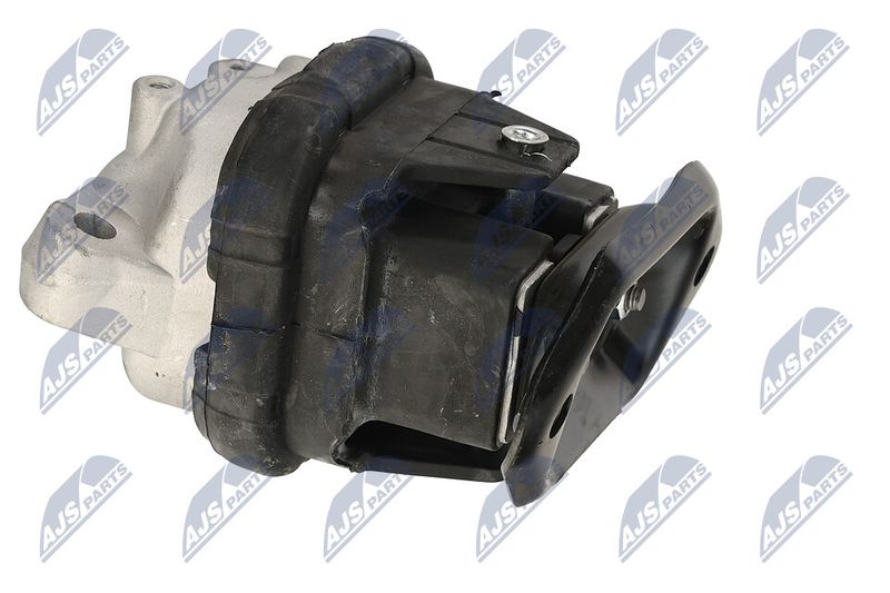 Paigutus, Mootor, NTY ZPS-CH-116