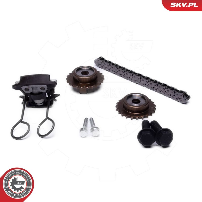 Mootori keti komplekt, ESEN SKV 21SKV255