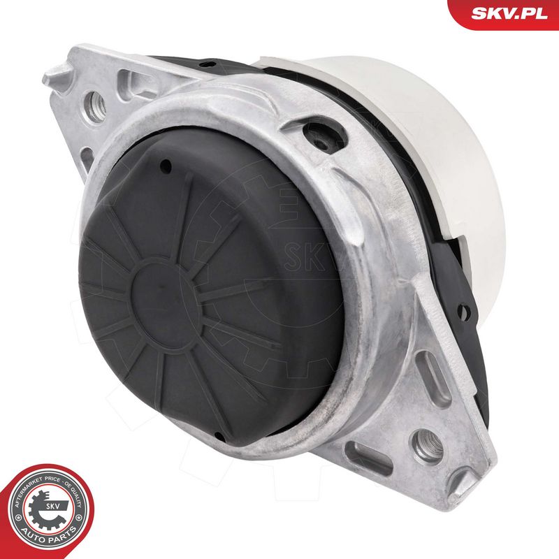 Paigutus, Mootor, ESEN SKV 75SKV122