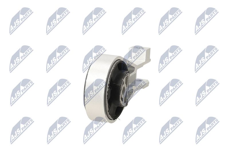 Paigutus, Mootor, NTY ZPS-PL-064