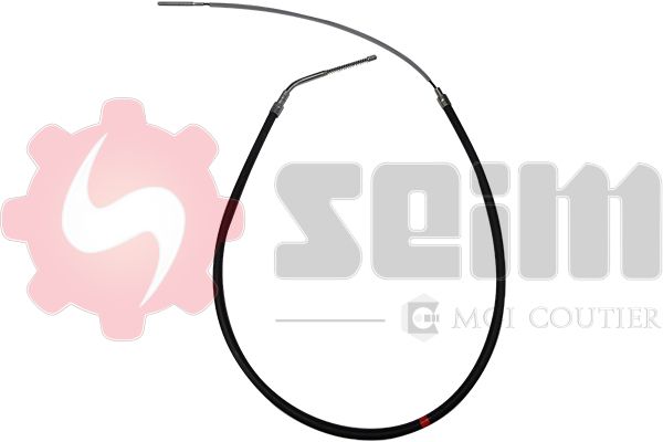 554030.JPG