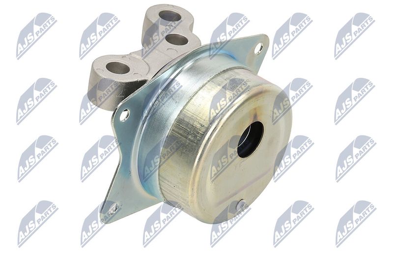 Paigutus, Mootor, NTY ZPS-PL-049