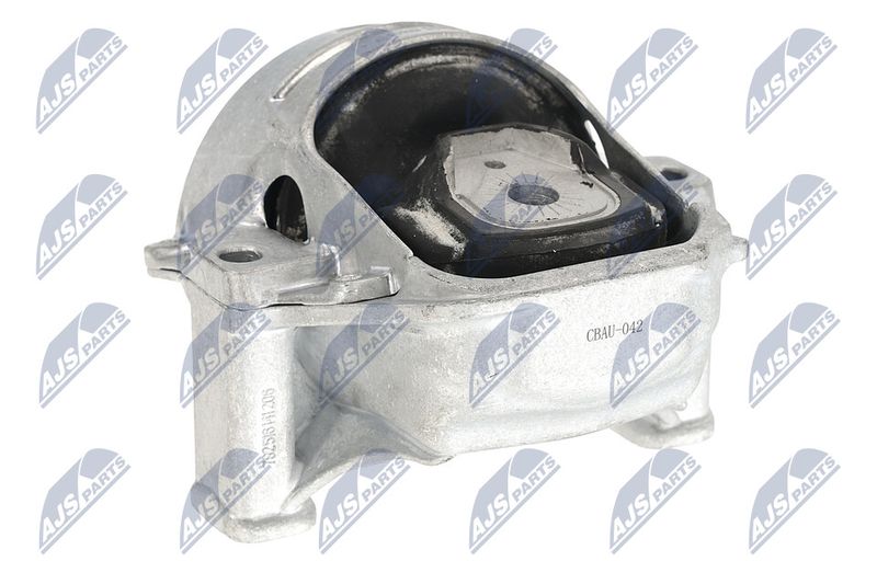 Paigutus, Mootor, NTY ZPS-AU-042