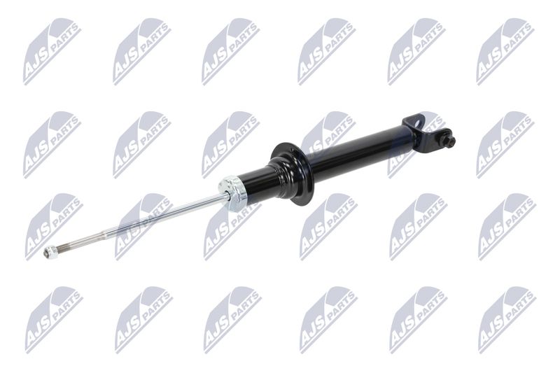 Amort, NTY A-CH-055