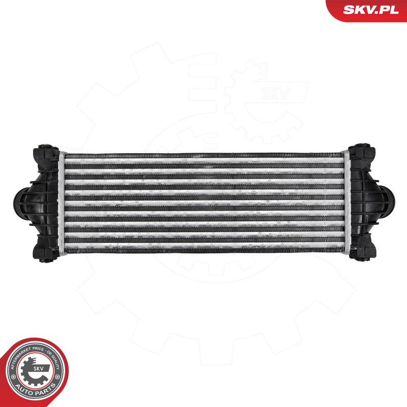 Prekės atitinka OEM kodą: CC119L440BF
