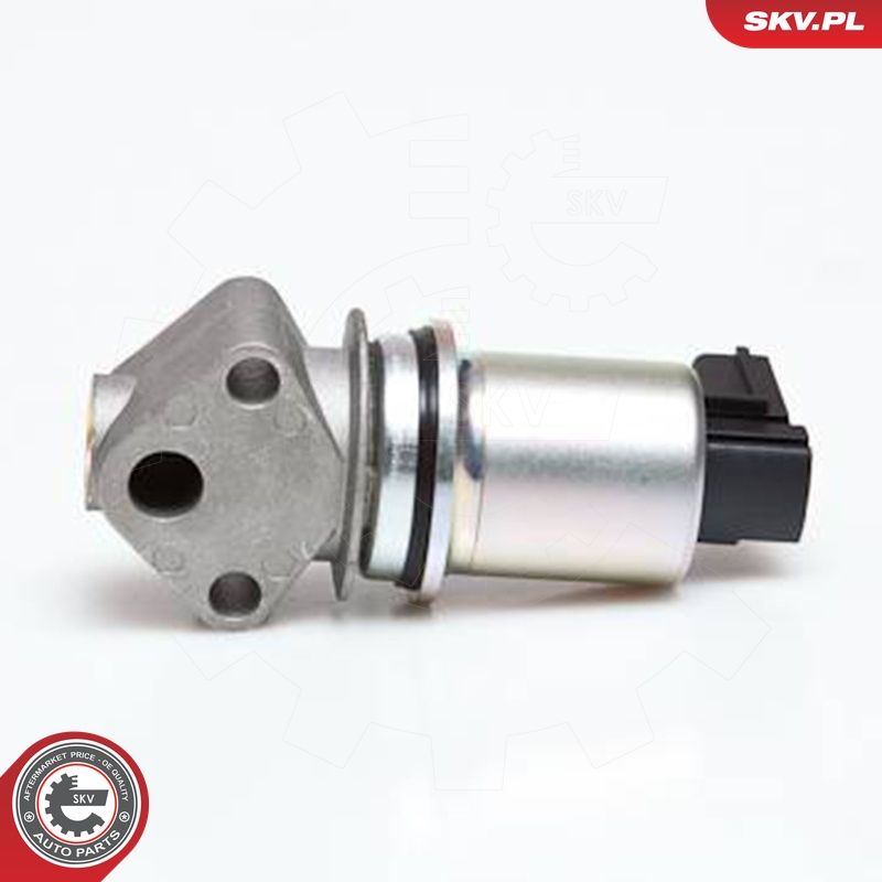 EGR-klapp, ESEN SKV 14SKV043