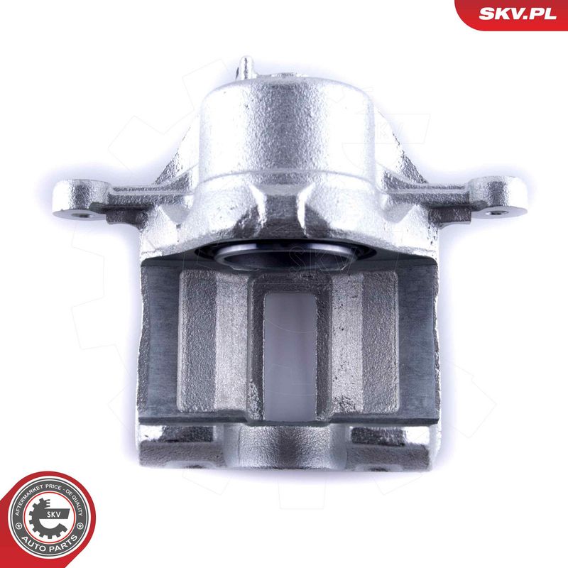 Pidurisadul, ESEN SKV 50SKV781