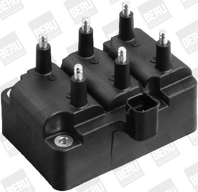 BorgWarner (BERU) ZS404 Ignition Coil
