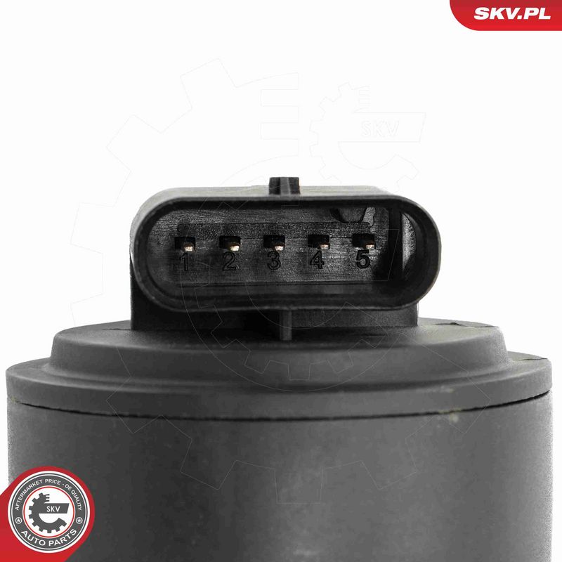 ESEN SKV 14SKV275 - EGR vožtuvas