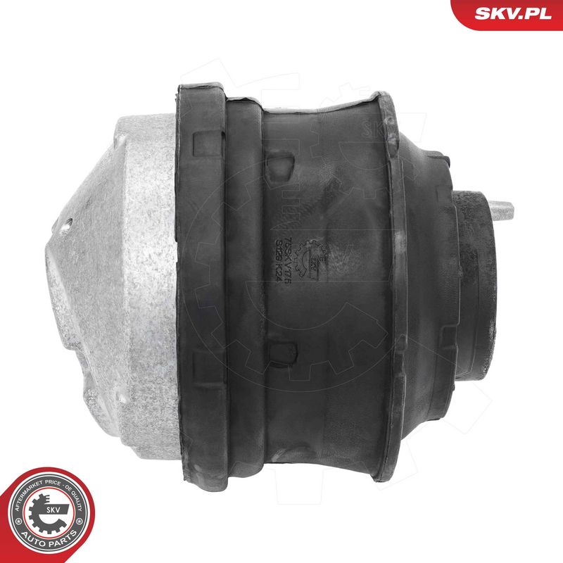 Paigutus, Mootor, ESEN SKV...