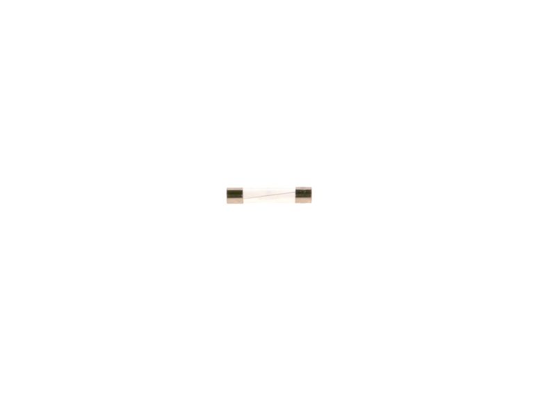 BOSCH 1 987 529 902 Fuse