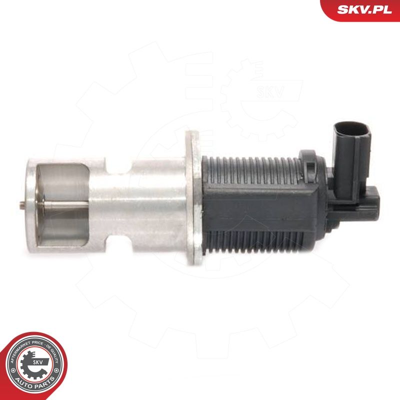 EGR-klapp, ESEN SKV 14SKV009