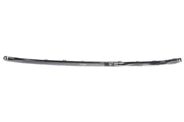 BLIC 5510-00-9586921P Trim/Protection Strip, bumper