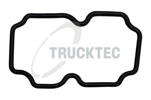 TRUCKTEC AUTOMOTIVE 04.19.124 - Aušinimo skysčio vamzdžio tarpinė