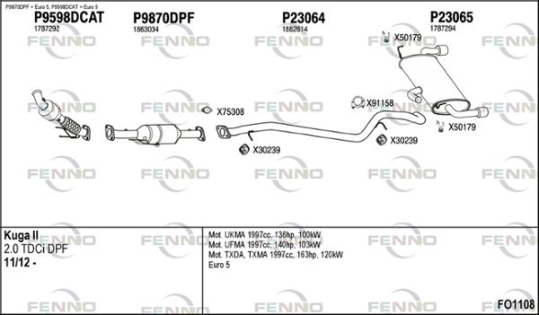 FO1108.JPG