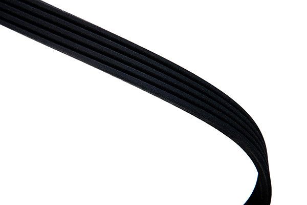 STELLOX 05-01008-SX V-ribbed Belt