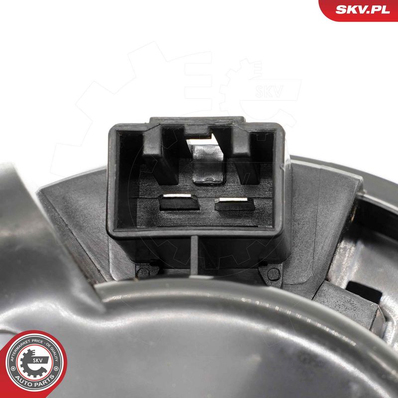 Salongipuhur, ESEN SKV...