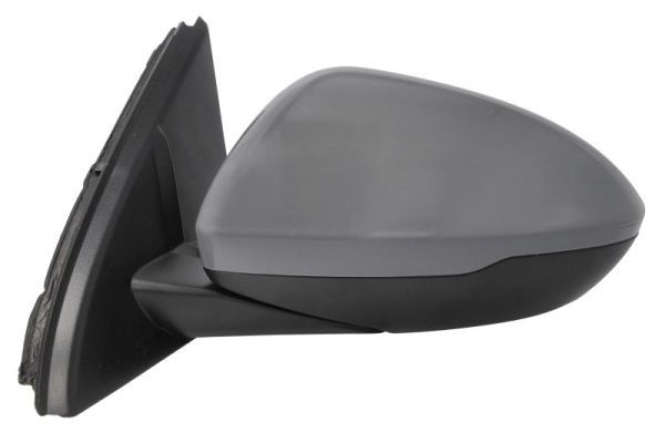 BLIC 5402-04-1785316P Exterior Mirror