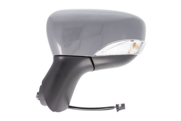 BLIC 5402-09-2002103P Exterior Mirror