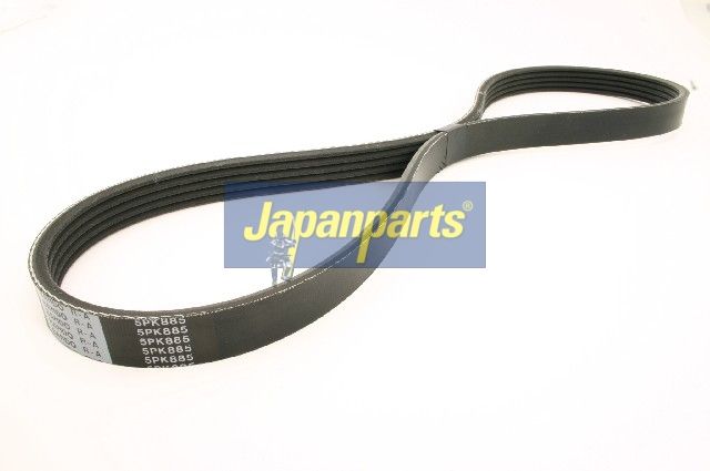 Correa trapecial poli V JAPANPARTS DV-5PK0885
