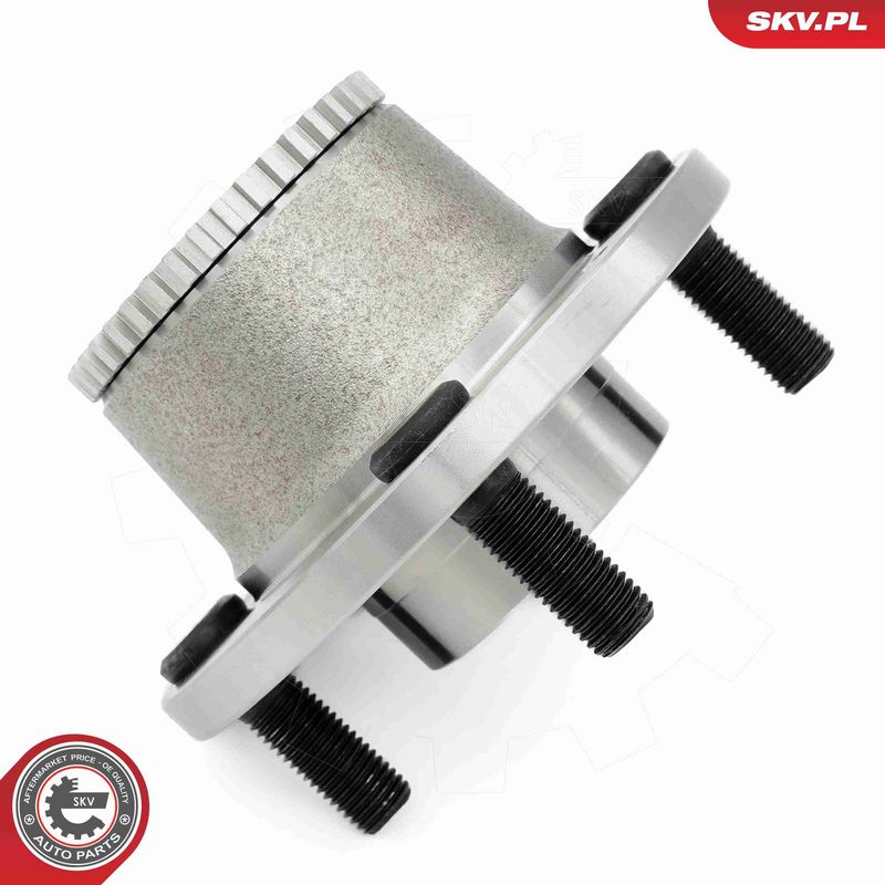 ESEN SKV 29SKV661 Wheel Bearing Kit