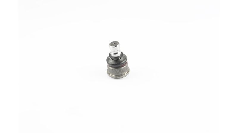 SKF VKDS 316006 Šarnyras / girgždukas