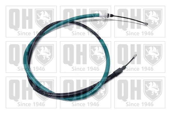 QH_BC3606.JPG