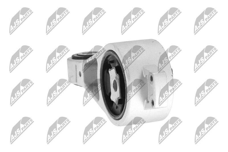 Paigutus, Mootor, NTY ZPS-CH-056