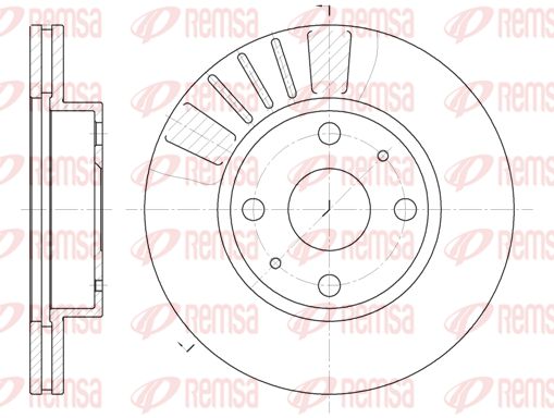 REM6116-10-MODEL.BMP