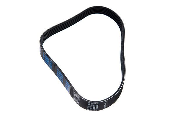 STELLOX 06-00820-SX V-ribbed Belt