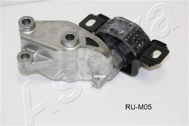 GOM-M05_1.JPG