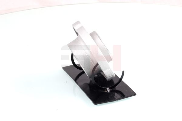 Vedruamordi tugilaager, GH GH-361524