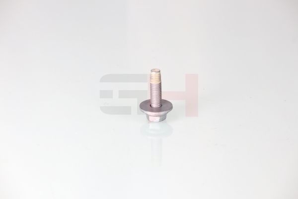 Vedruamordi tugilaager, GH GH-391511