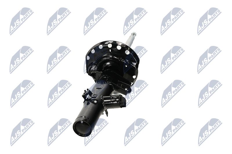 Amort, NTY A-LR-033