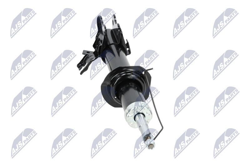 Amort, NTY A-NS-009