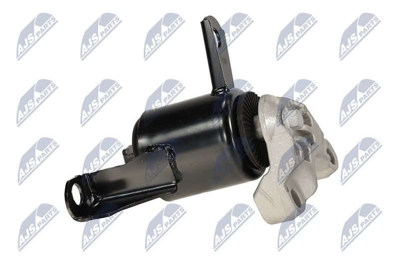 Paigutus, Mootor, NTY ZPS-FR-058