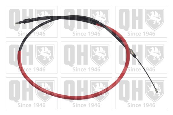 QH_BC3607.JPG