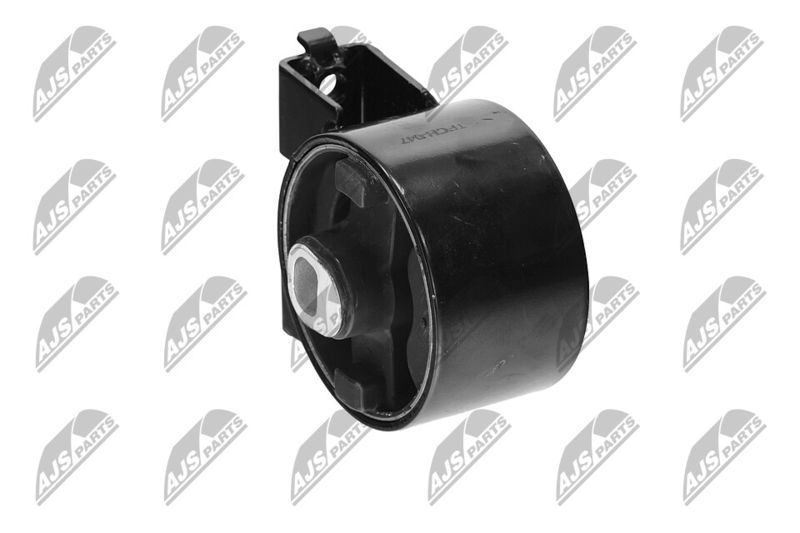 Paigutus, Mootor, NTY ZPS-CH-047