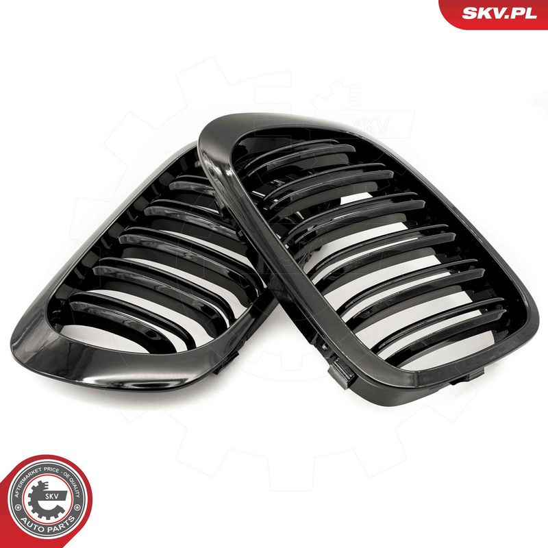 Radiaatorivõre, ESEN SKV 66SKV059