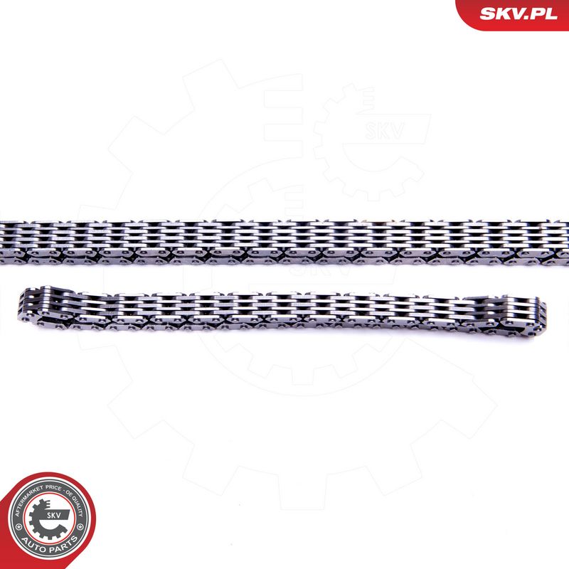 Mootori keti komplekt, ESEN SKV 21SKV187