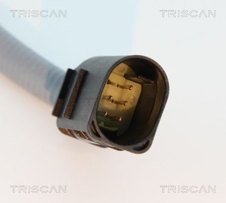 TRIS884523050_2.JPG