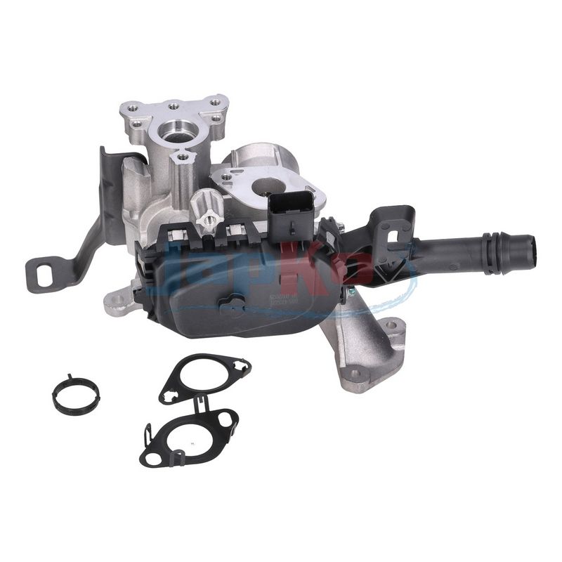 JAPKO 1500605 ERG Valve