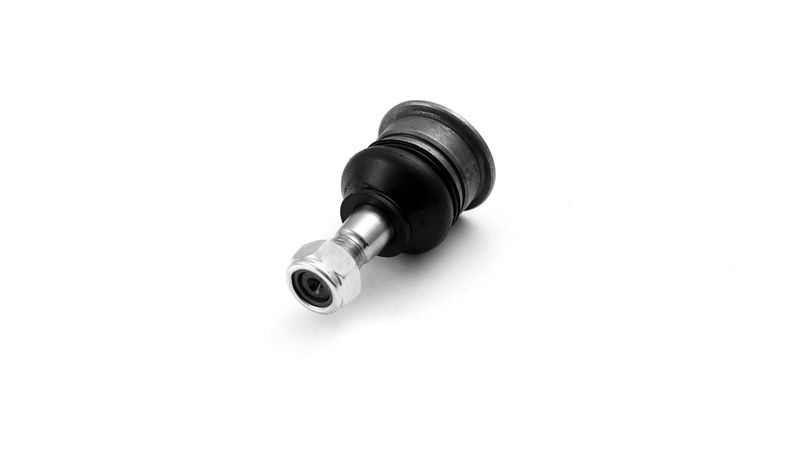 SKF VKDS812005 Šarnyras / girgždukas