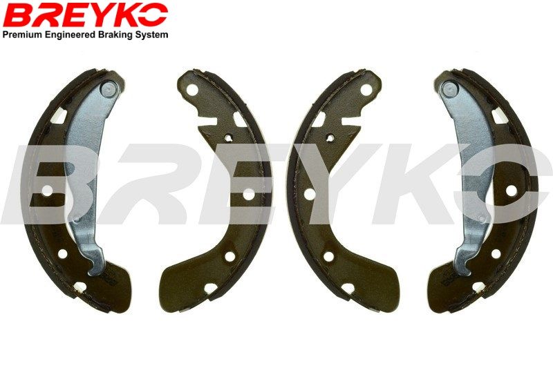 DAVID VASCO W8542 Brake Shoe Set