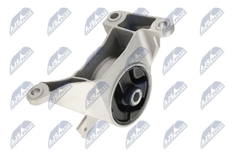 Paigutus, Mootor, NTY ZPS-PL-039