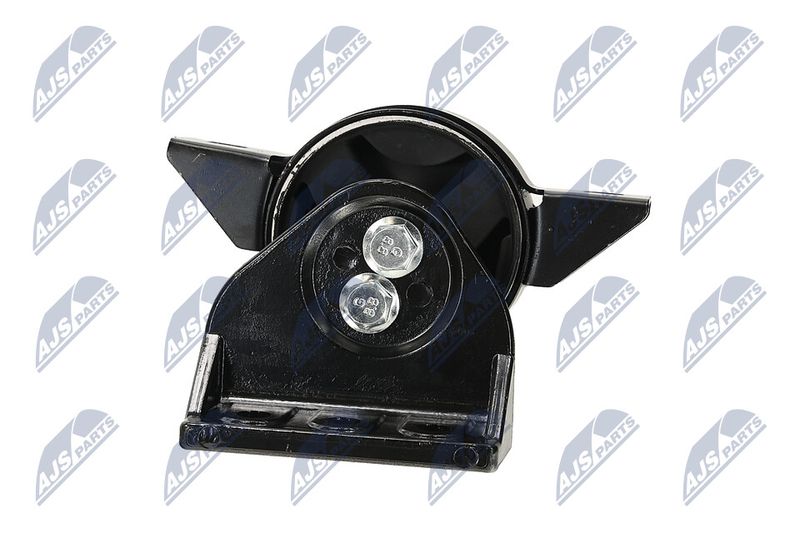 Paigutus, Mootor, NTY ZPS-DW-011